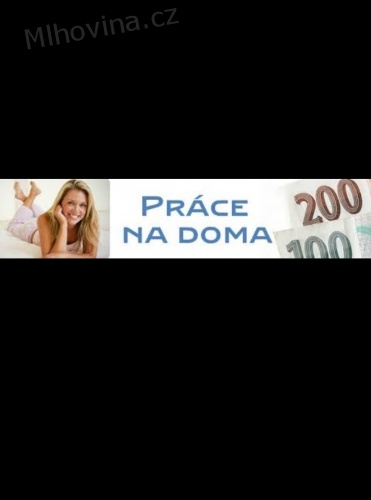 Hledám schopné lidičky do svého týmu..