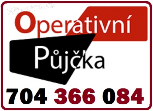 Rychlá půjčka - 704 366 084