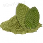 Kratom neboli Mitragyna speciosa